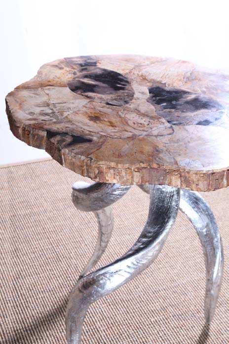 Petrified Wood Detail 4