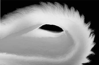 Sleep Climate Surface Technology
