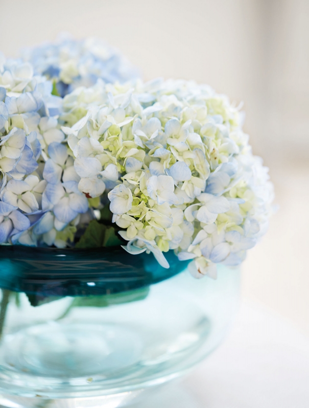 363_flowers_romance