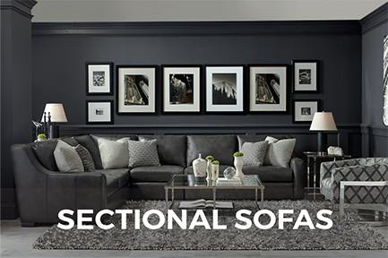 Shop Leather Sectional Sofas